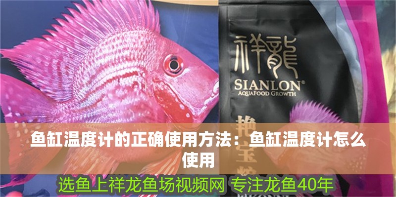 魚缸溫度計的正確使用方法：魚缸溫度計怎么使用