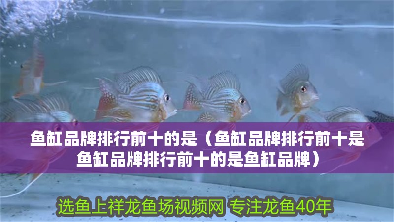 魚缸品牌排行前十的是（魚缸品牌排行前十是魚缸品牌排行前十的是魚缸品牌）