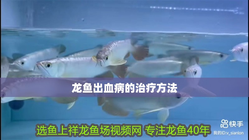 龍魚出血病的治療方法