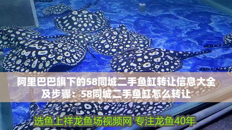 阿里巴巴旗下的58同城二手魚缸轉讓信息大全及步驟：58同城二手魚缸怎么轉讓