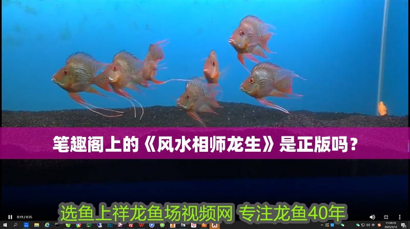 筆趣閣上的《風水相師龍生》是正版嗎？