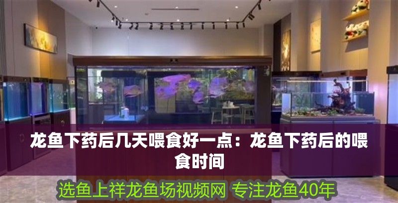 龍魚下藥后幾天喂食好一點：龍魚下藥后的喂食時間