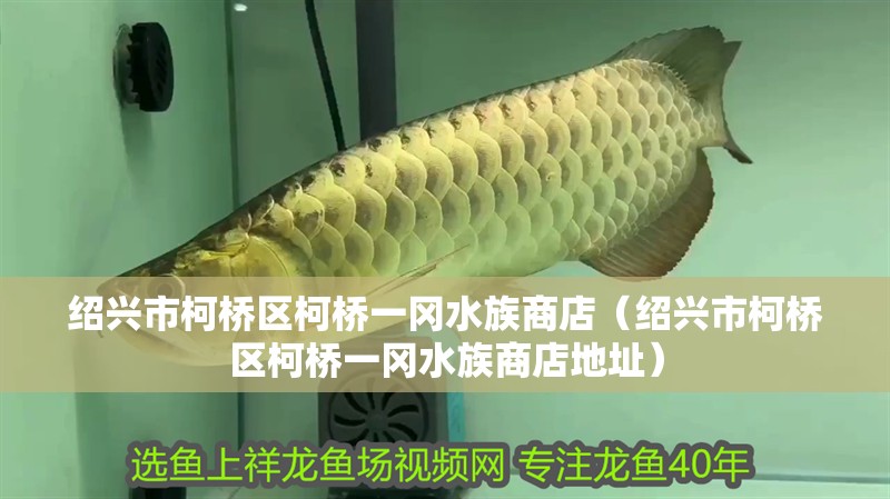 紹興市柯橋區柯橋一岡水族商店（紹興市柯橋區柯橋一岡水族商店地址）