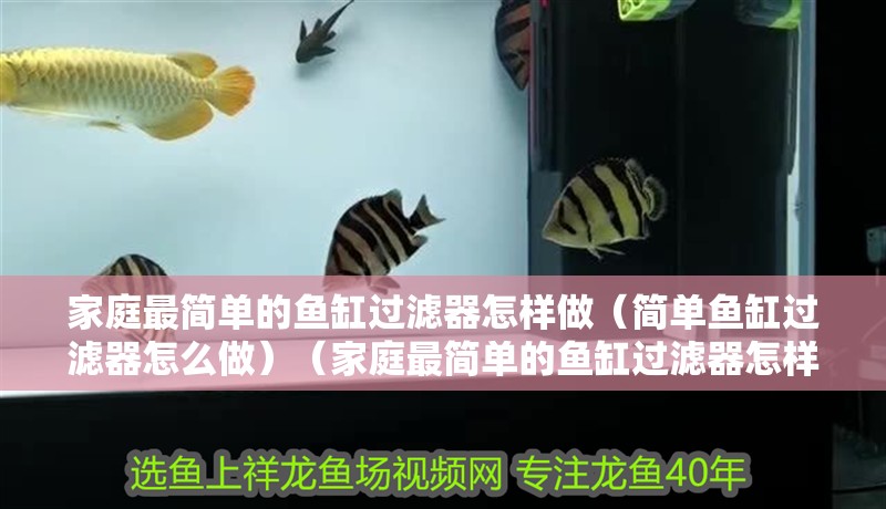 家庭最簡單的魚缸過濾器怎樣做（簡單魚缸過濾器怎么做）（家庭最簡單的魚缸過濾器怎樣做） 家庭最簡單的魚缸過濾器怎樣做（簡單魚缸過濾器怎么做）（家庭最簡單的魚缸過濾器怎樣做） 魚缸百科