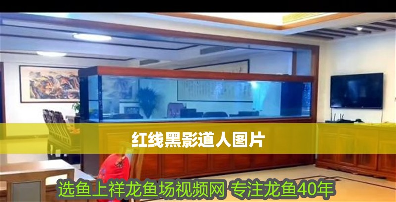 紅線黑影道人圖片