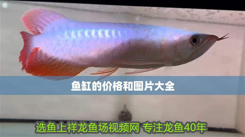 魚缸的價格和圖片大全