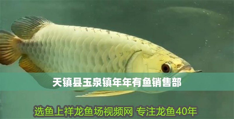 天鎮(zhèn)縣玉泉鎮(zhèn)年年有魚(yú)銷售部