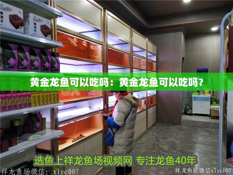黃金龍魚(yú)可以吃嗎：黃金龍魚(yú)可以吃嗎？