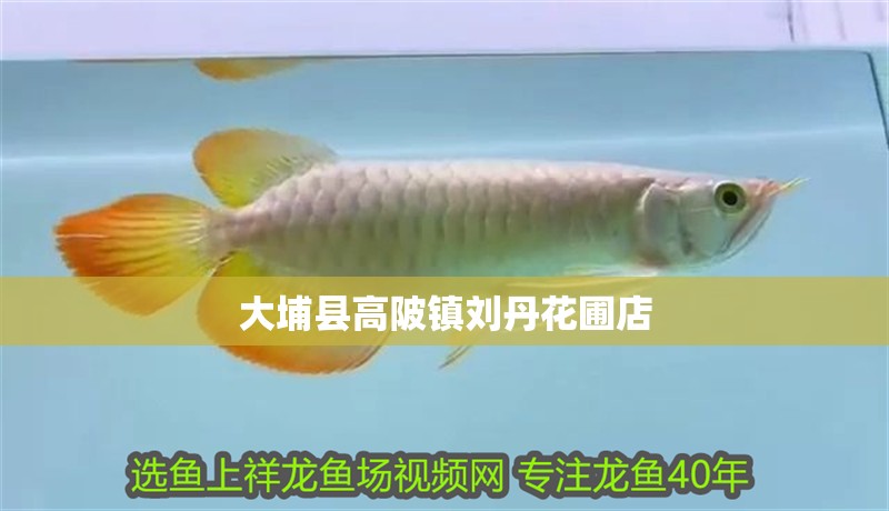 <strong><mark>大埔</mark></strong>縣高陂鎮劉丹花圃店