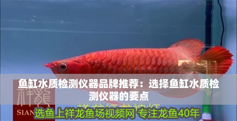 魚缸水質(zhì)檢測儀器品牌推薦：選擇魚缸水質(zhì)檢測儀器的要點