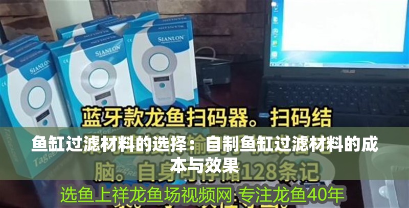 魚缸過濾材料的選擇：自制魚缸過濾材料的成本與效果