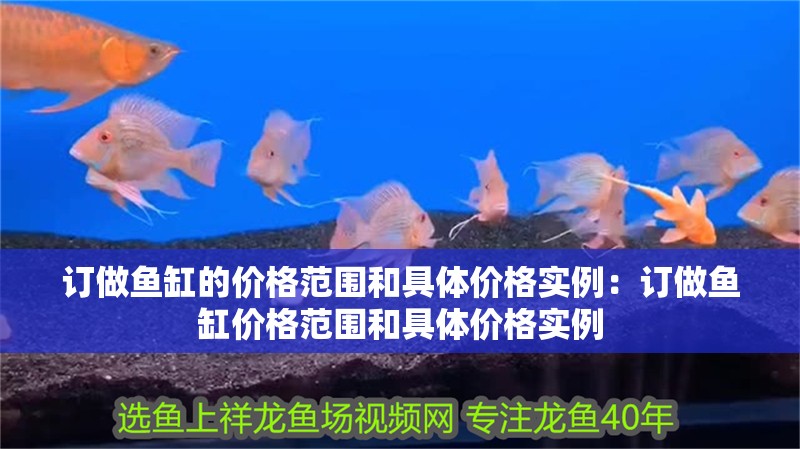 訂做魚缸的價(jià)格范圍和具體價(jià)格實(shí)例：訂做魚缸價(jià)格范圍和具體價(jià)格實(shí)例