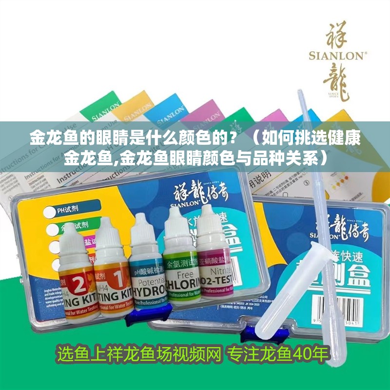 金龍魚的眼睛是什么顏色的？（如何挑選健康金龍魚,金龍魚眼睛顏色與品種關(guān)系）