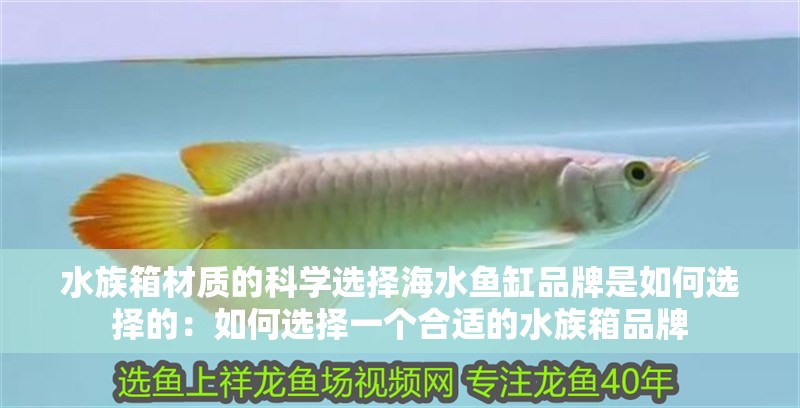 水族箱材質(zhì)的科學(xué)選擇海水魚缸品牌是如何選擇的：如何選擇一個合適的水族箱品牌