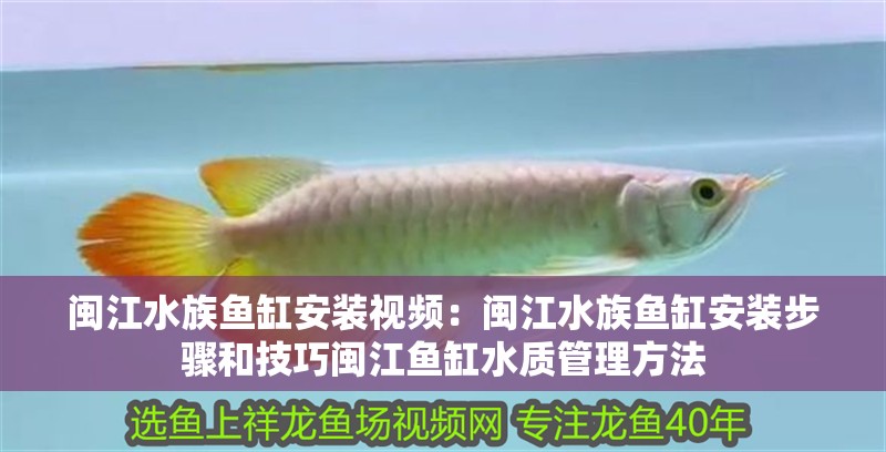 閩江水族魚缸安裝視頻：閩江水族魚缸安裝步驟和技巧閩江魚缸水質管理方法