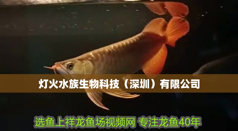 燈火水族生物科技（深圳）有限公司