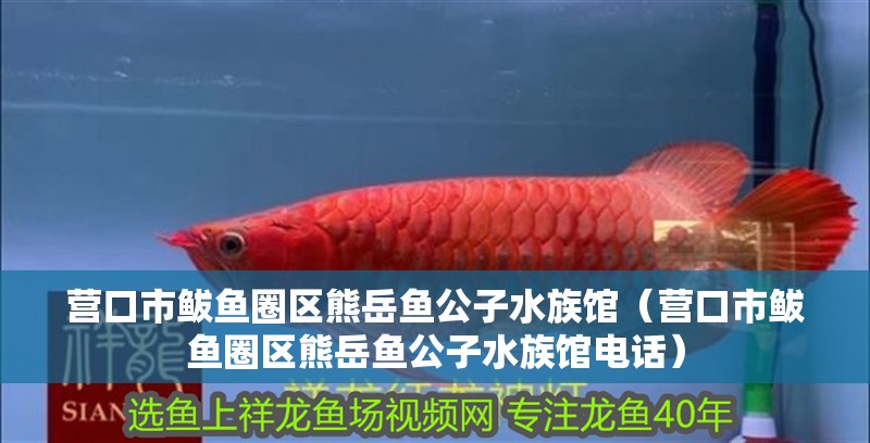 營(yíng)口市鲅魚圈區(qū)熊岳魚公子水族館（營(yíng)口市鲅魚圈區(qū)熊岳魚公子水族館電話）