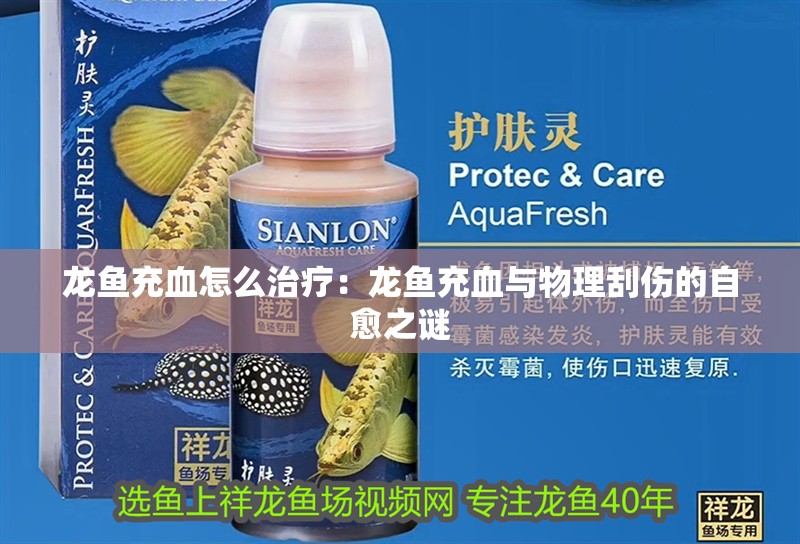 龍魚充血怎么治療：龍魚充血與物理刮傷的自愈之謎