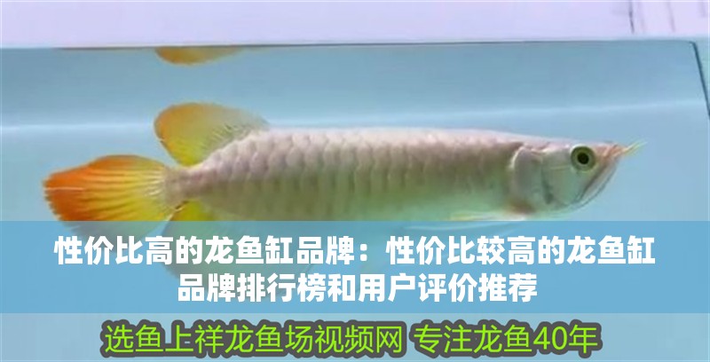 給大魚缸換水的作文:體驗給大魚缸換水的樂趣:體驗給大魚缸換水:給大魚缸換水的作文 性價比高的龍魚缸品牌:性價比較高的龍魚缸品牌排行榜和用戶評價推薦 魚缸百科 性價比高的龍魚缸品牌:性價比較高的龍魚缸品牌排行榜和用戶評價推薦 性價比高的龍魚缸品牌:性價比較高的龍魚缸品牌排行榜和用戶評價推薦 魚缸百科