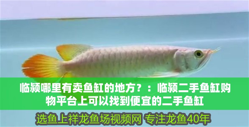 臨潁哪里有賣魚缸的地方？：臨潁二手魚缸購物平臺上可以找到便宜的二手魚缸
