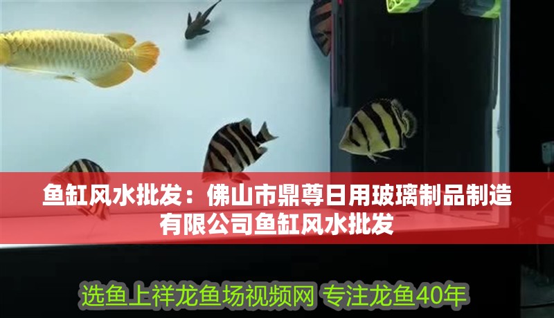 魚缸風水批發：佛山市鼎尊日用玻璃制品制造有限公司魚缸風水批發