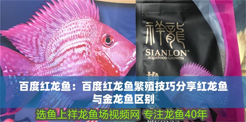 魚缸用增氧泵價格是多少:魚缸增氧機-xtrac增氧機-xtrac增氧機 百度紅龍魚:百度紅龍魚繁殖技巧分享紅龍魚與金龍魚區別 龍魚百科 百度紅龍魚:百度紅龍魚繁殖技巧分享紅龍魚與金龍魚區別 百度紅龍魚:百度紅龍魚繁殖技巧分享紅龍魚與金龍魚區別 龍魚百科