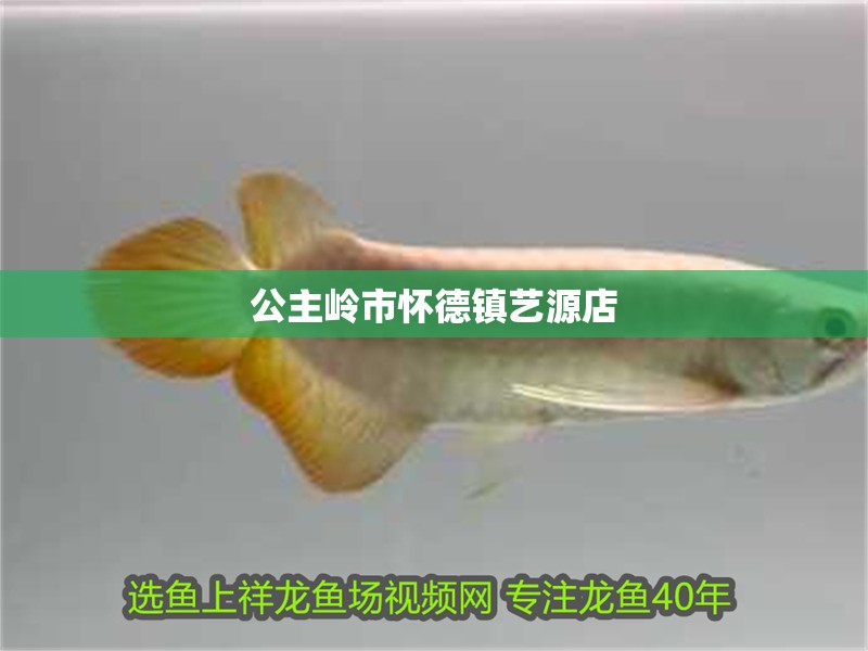 公主嶺市懷德鎮藝源店