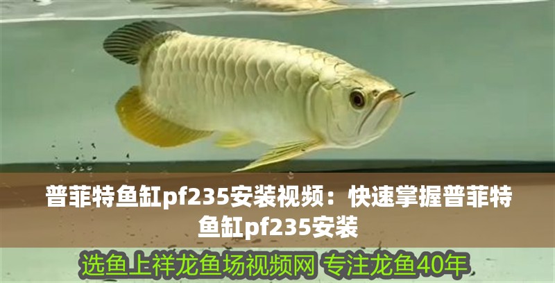 普菲特魚缸pf235安裝視頻：快速掌握普菲特魚缸pf235安裝 普菲特魚缸pf235安裝視頻：快速掌握普菲特魚缸pf235安裝 魚缸百科