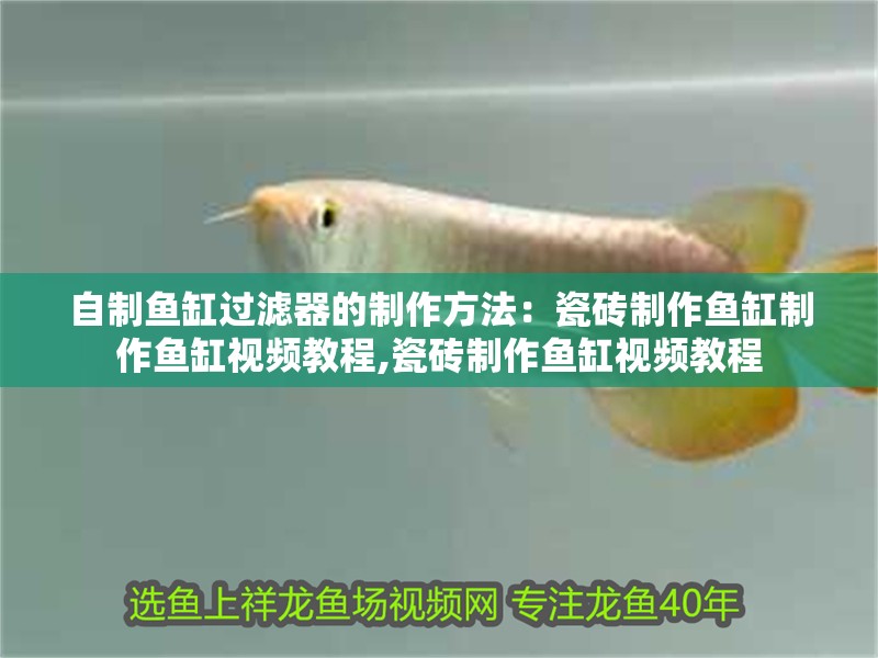 自制魚缸過濾器的制作方法：瓷磚制作魚缸制作魚缸視頻教程,瓷磚制作魚缸視頻教程