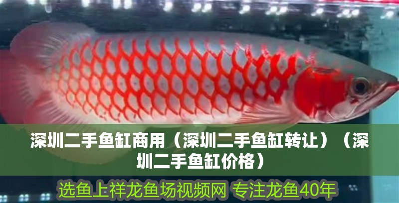 <strong><mark>深圳</mark></strong>二手魚缸商用（<strong><mark>深圳</mark></strong>二手魚缸轉(zhuǎn)讓）（<strong><mark>深圳</mark></strong>二手魚缸價(jià)格）