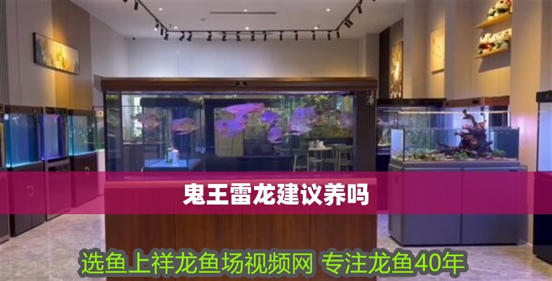 鬼王雷龍建議養(yǎng)嗎 鬼王雷龍建議養(yǎng)嗎 龍魚論壇