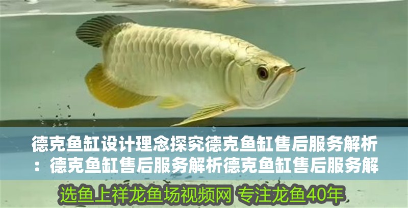 德克魚缸設計理念探究德克魚缸售后服務解析：德克魚缸售后服務解析德克魚缸售后服務解析 德克魚缸設計理念探究德克魚缸售后服務解析：德克魚缸售后服務解析德克魚缸售后服務解析 魚缸百科