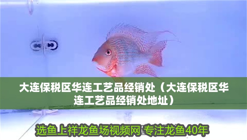 大連保稅區(qū)華連工藝品經(jīng)銷(xiāo)處（大連保稅區(qū)華連工藝品經(jīng)銷(xiāo)處地址）