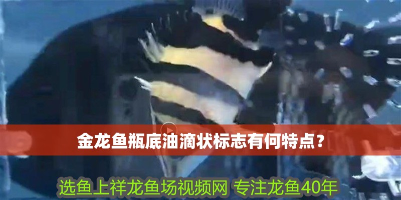 金龍魚瓶底油滴狀標(biāo)志有何特點(diǎn)？