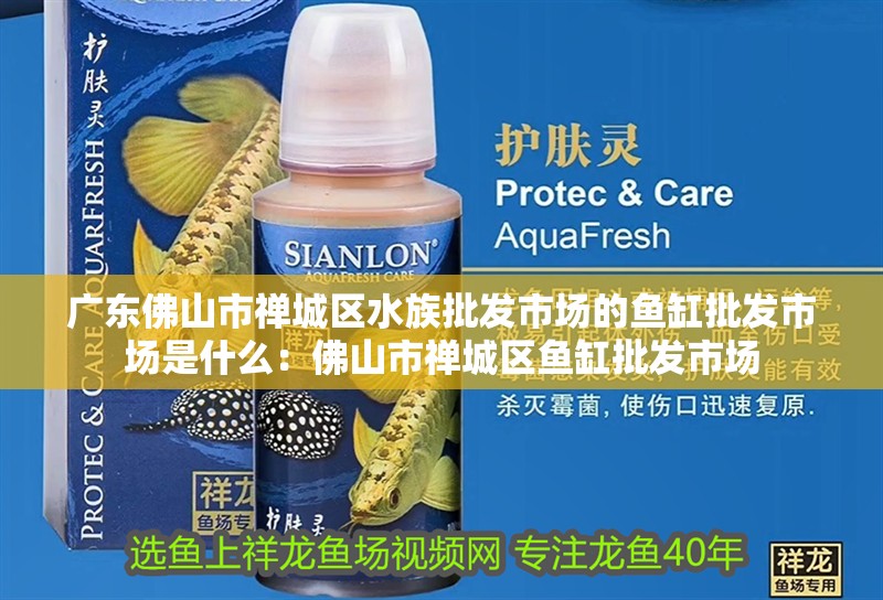 廣東佛山市禪城區(qū)水族批發(fā)市場的魚缸批發(fā)市場是什么：佛山市禪城區(qū)魚缸批發(fā)市場