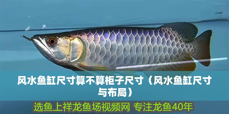 風水魚缸尺寸算不算柜子尺寸（風水魚缸尺寸與布局）