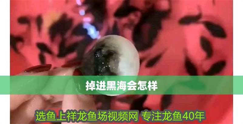掉進黑海會怎樣