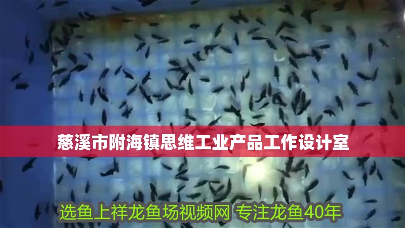 慈溪市附海鎮(zhèn)思維工業(yè)產(chǎn)品工作設(shè)計(jì)室