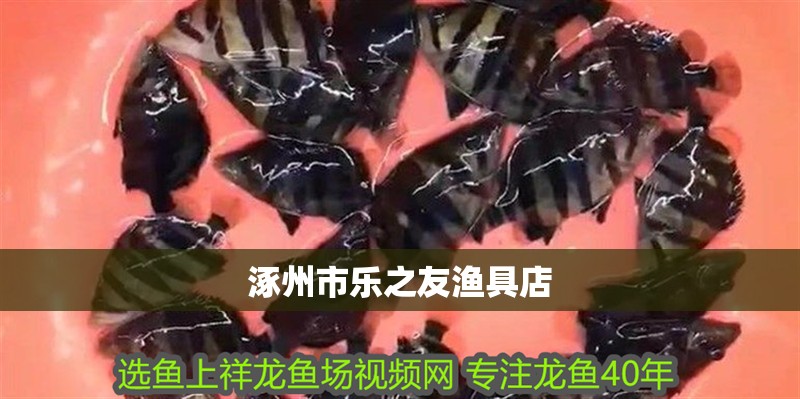 涿州市樂之友漁具店