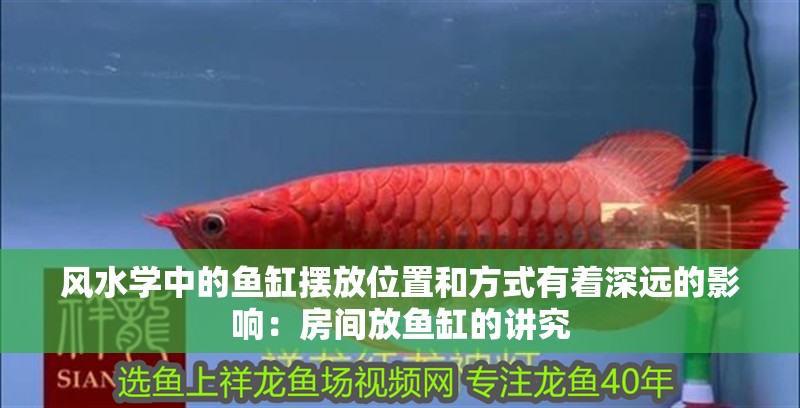 風水學中的魚缸擺放位置和方式有著深遠的影響：房間放魚缸的講究 風水學中的魚缸擺放位置和方式有著深遠的影響：房間放魚缸的講究 魚缸百科