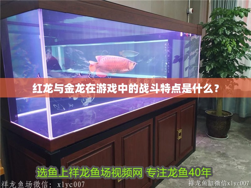龍魚怕什么 紅龍與金龍在游戲中的戰斗特點是什么? 龍魚百科 紅龍與金龍在游戲中的戰斗特點是什么? 紅龍與金龍在游戲中的戰斗特點是什么? 龍魚百科