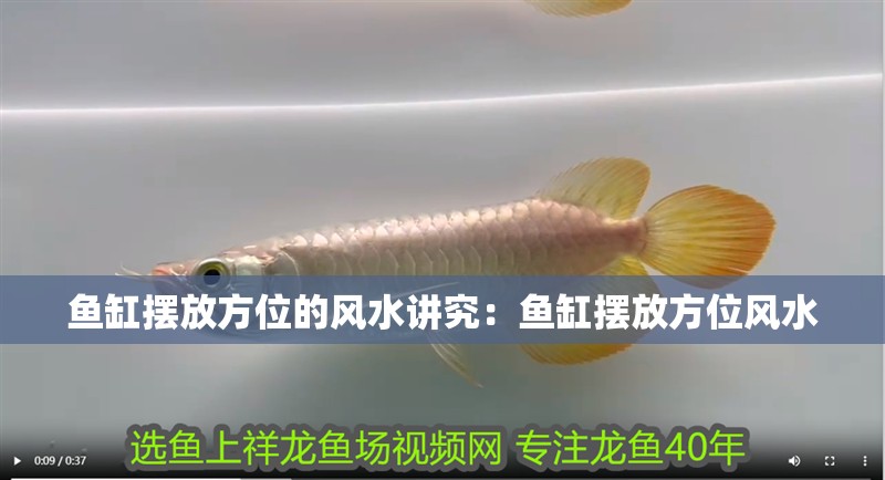 魚缸擺放方位的風水講究：魚缸擺放方位風水