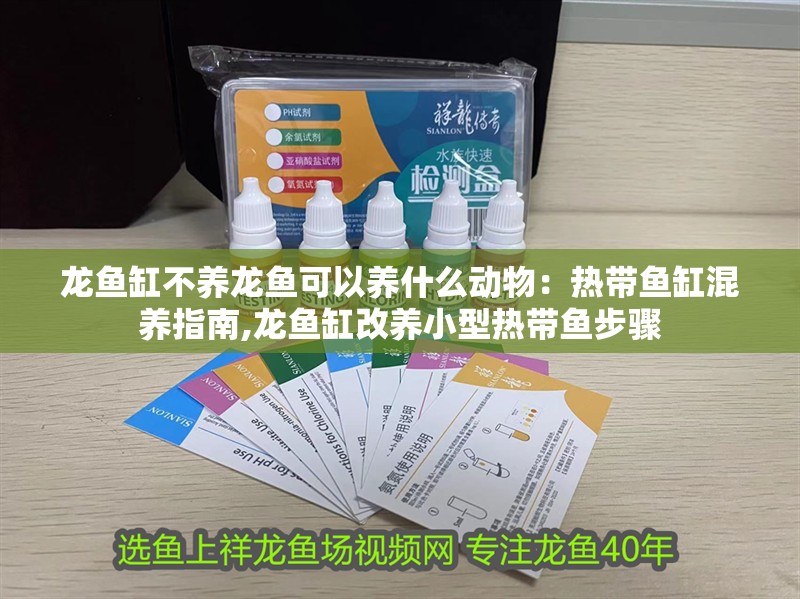 龍魚缸不養龍魚可以養什么動物：熱帶魚缸混養指南,龍魚缸改養小型熱帶魚步驟