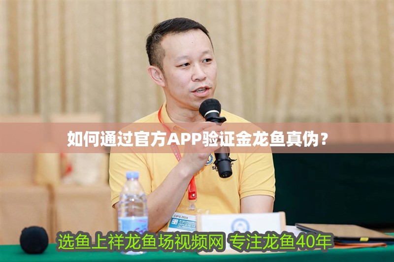 如何通過官方APP驗證金龍魚真偽？ 如何通過官方APP驗證金龍魚真偽？ 水族問答
