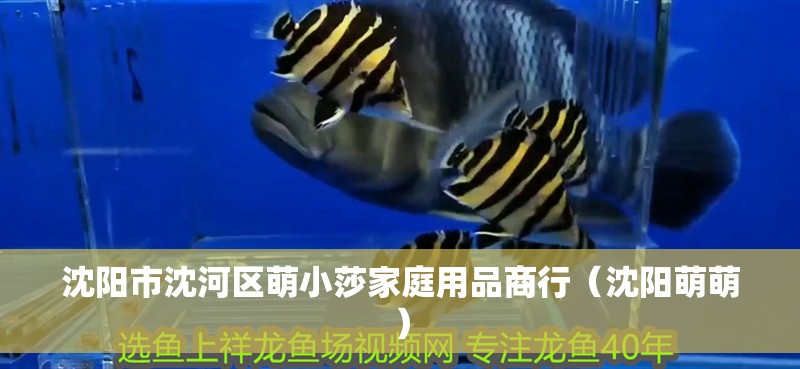 沈陽市沈河區萌小莎家庭用品商行（沈陽萌萌）