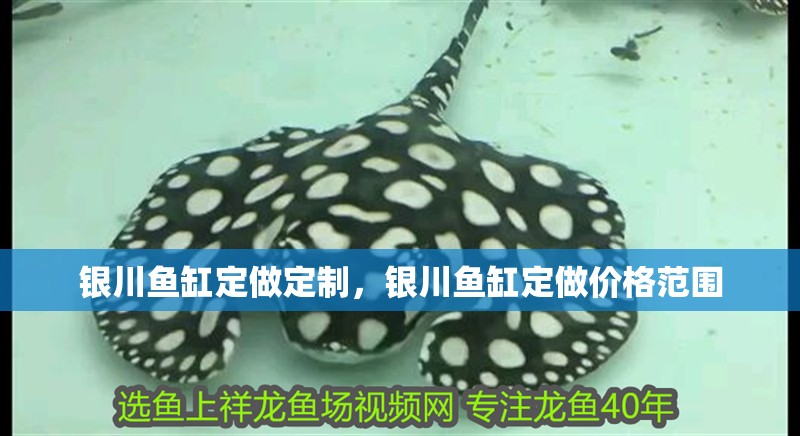 銀川魚缸定做定制，銀川魚缸定做價格范圍