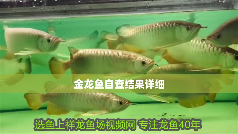 金龍魚自查結果詳細