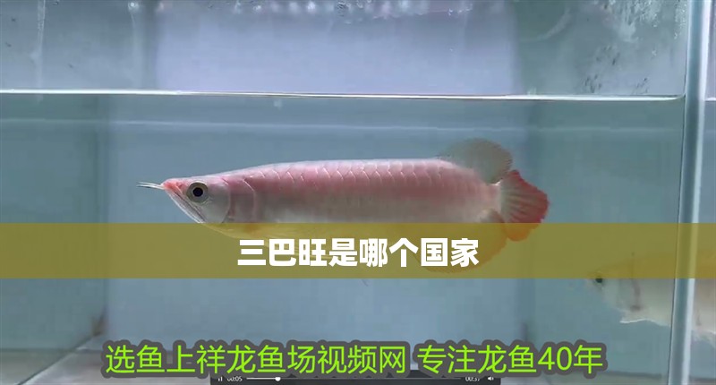 三巴旺是哪個國家
