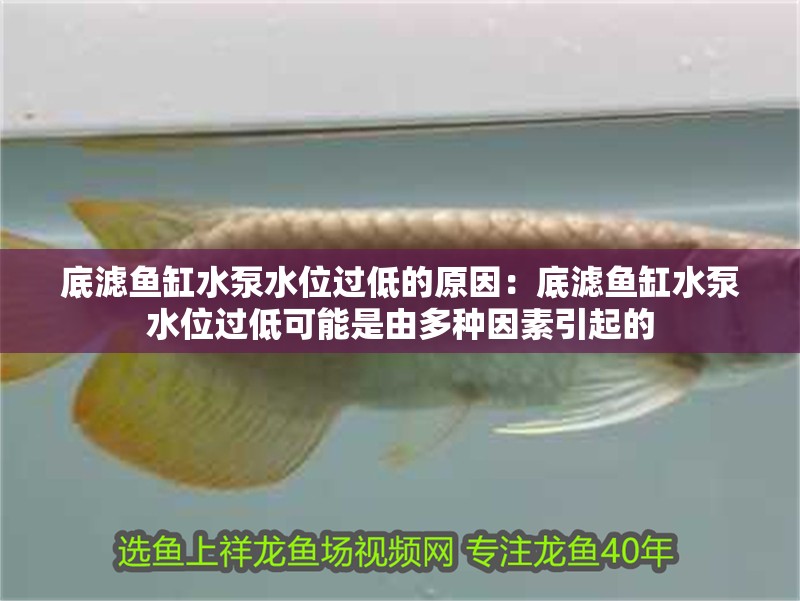 底濾魚缸水泵水位過低的原因：底濾魚缸水泵水位過低可能是由多種因素引起的