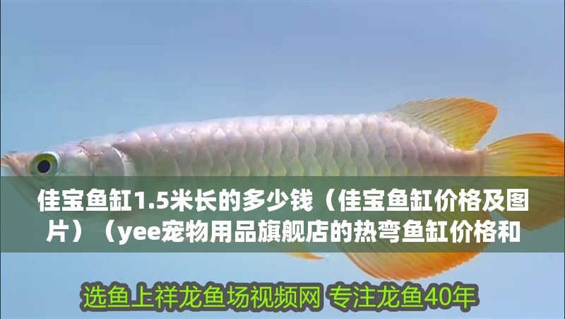 佳寶魚缸1.5米長的多少錢（佳寶魚缸價格及圖片）（yee寵物用品旗艦店的熱彎魚缸價格和品牌魚缸價格）